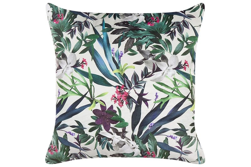 Pynteputer Gasteria sett av 2 - Tekstiler - Pute & pledd - Hagepute