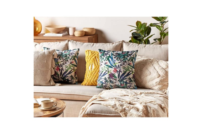 Pynteputer Gasteria sett av 2 - Tekstiler - Pute & pledd - Hagepute