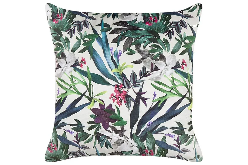 Pynteputer Gasteria, undefined