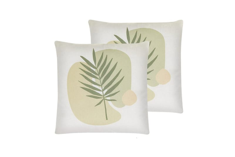 Pynteputer Microsorum sett på 2, undefined