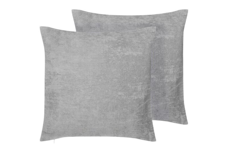 Pynteputer Nolana sett med 2, undefined