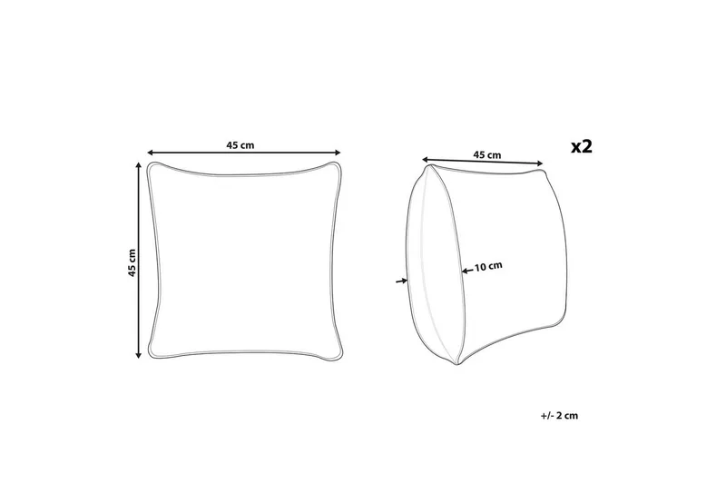 Pynteputer Ramonda sett av 2 - Tekstiler - Pute & pledd - Hagepute