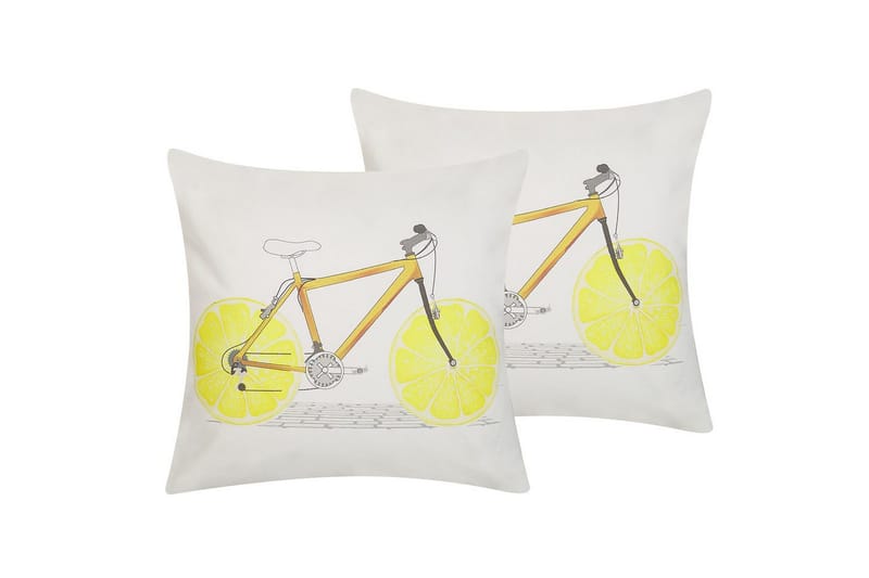 Pynteputer Ruscus sett på 2, undefined