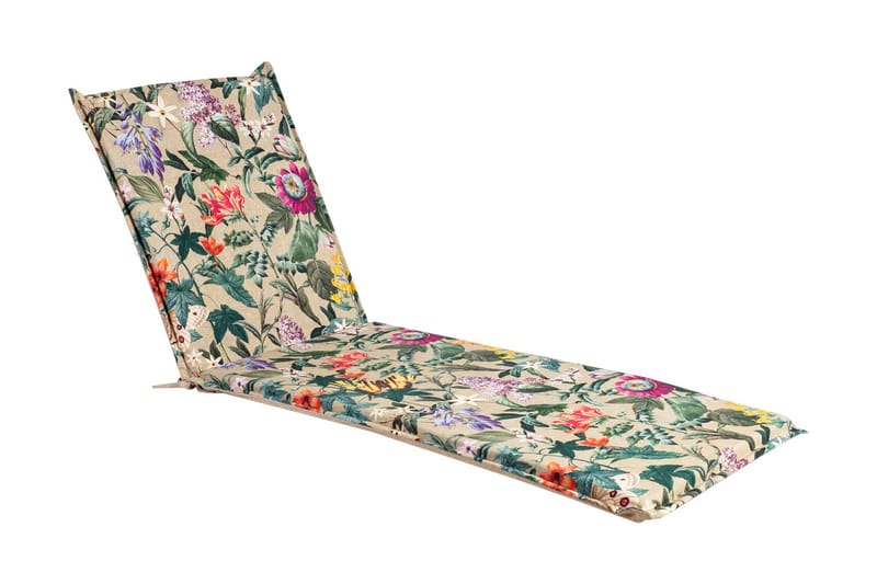 Solsengpute Amazonia, undefined