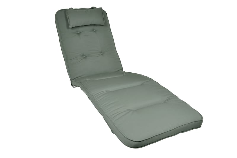 Standard Solsengpute, Grønn