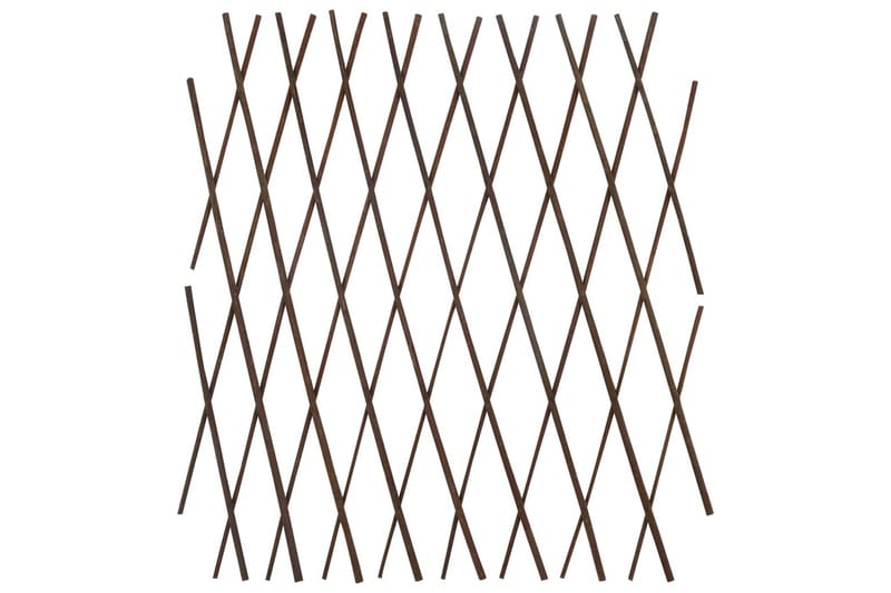 Espaliergjerder selje 5 stk 180x60 cm - Hagemøbler - Solbeskyttelse - Avskjerming & vindskjerm - Espalier