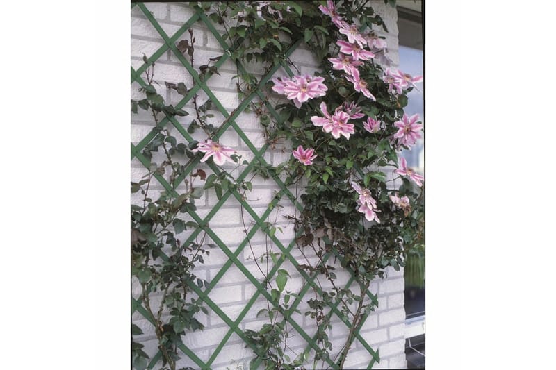 Nature Hageespalier 100x200 cm 6040704 - Hagemøbler - Solbeskyttelse - Avskjerming & vindskjerm - Espalier