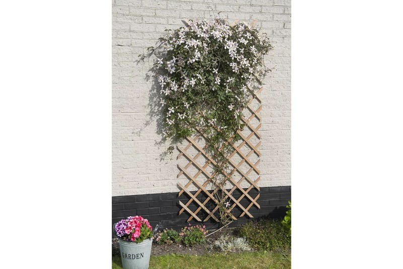 Nature Hageespalier 50x150 cm tre naturell - Drivhustilbehør - Espalier