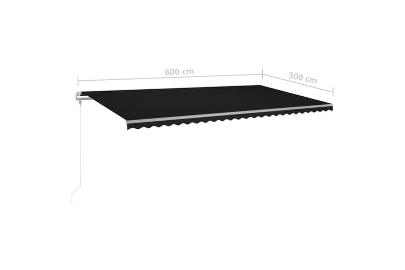 Automatisk markise med vindsensor og LED 600x300 cm - Antrasittgrå - Hagemøbler - Solbeskyttelse - Markiser - Balkongmarkise