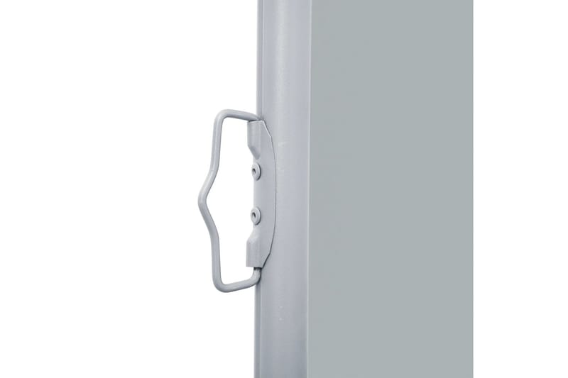 beBasic Uttrekkbar sidemarkise antrasitt 160x600 cm - AntrasittgrÃ¥ - Balkongmarkise - Markiser - Sidemarkise - Balkongbeskyttelse