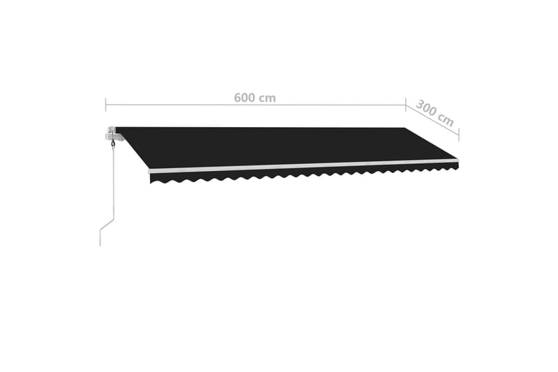 Frittstående automatisk markise 600x300 cm antrasitt - Antrasittgrå - Balkongmarkise - Markiser - Terrassemarkise