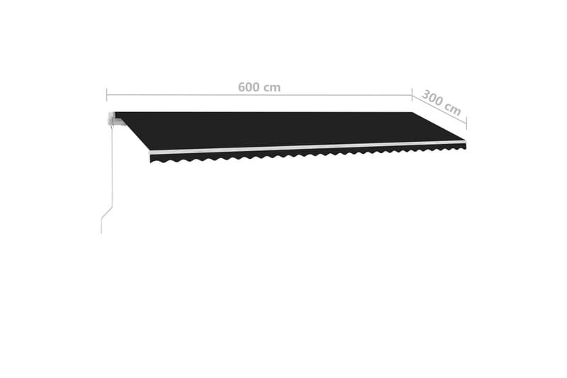 Frittstående manuell uttrekkbar markise 600x300 cm antrasitt - Antrasittgrå - Hagemøbler - Solbeskyttelse - Markiser - Balkongmarkise
