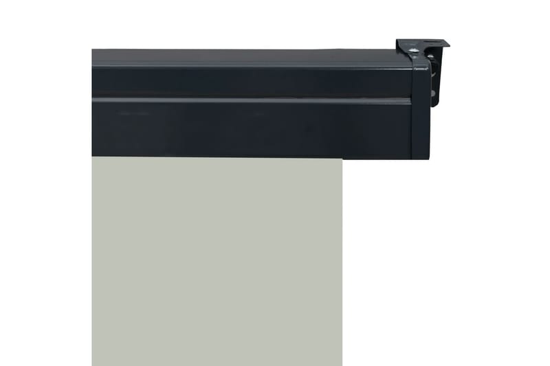 Sidemarkise for balkong 160x250 cm grå - Grå - Balkongmarkise - Markiser - Sidemarkise - Balkongbeskyttelse