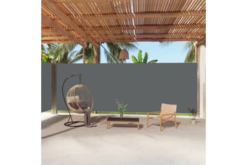 Uttrekkbar sidemarkise 220x1000 cm antrasitt - Antrasittgrå - Hagemøbler - Solbeskyttelse - Markiser - Balkongmarkise