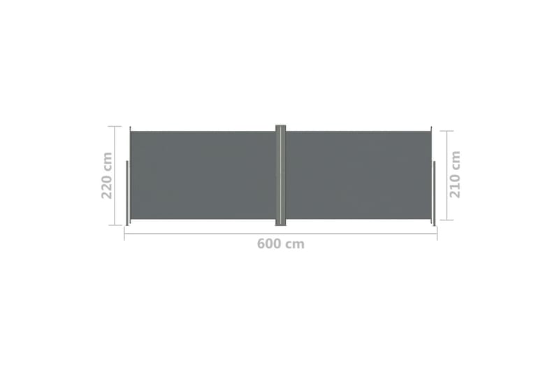 Uttrekkbar sidemarkise 220x600 cm antrasitt - Antrasittgrå - Hagemøbler - Solbeskyttelse - Markiser - Balkongmarkise