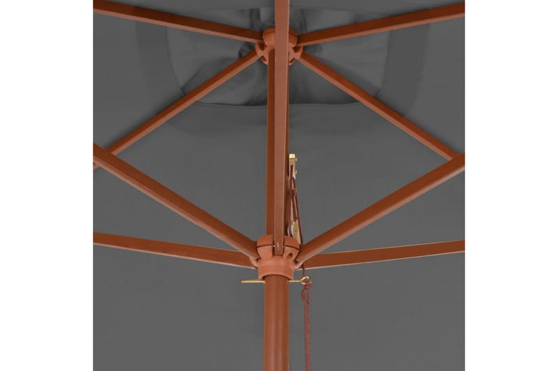 Parasoll med trestang 200x300 cm antrasitt - Hagemøbler - Solbeskyttelse - Parasoller
