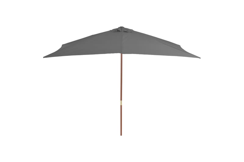 Parasoll med trestang 200x300 cm antrasitt - Hagemøbler - Solbeskyttelse - Parasoller