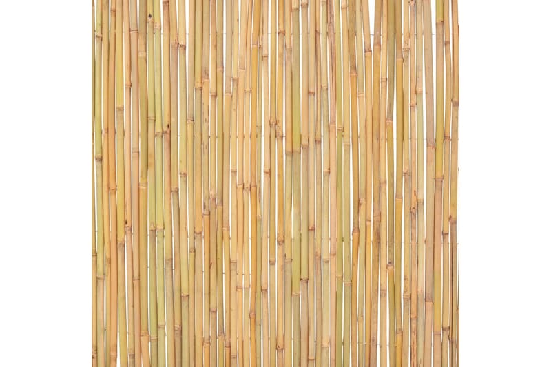 Bambusgjerde 300x100 cm - Hus & oppussing - Innsynsbeskyttelse & innhegning - Gjerde