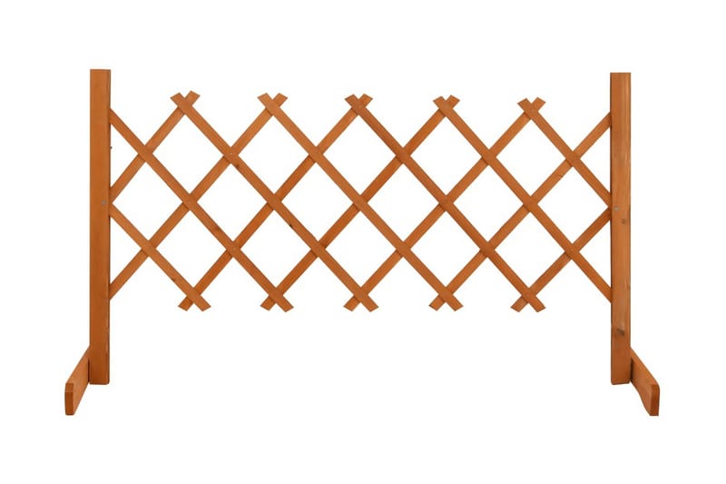 Espaliergjerde oransje 120x60 cm heltre gran - Oransj - Tregjerde