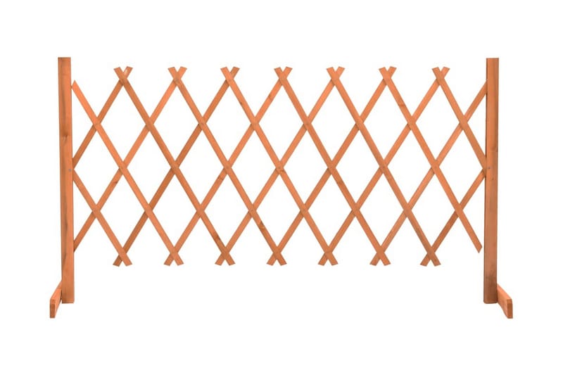 Espaliergjerde oransje 150x80 cm heltre gran - Oransj - Tregjerde