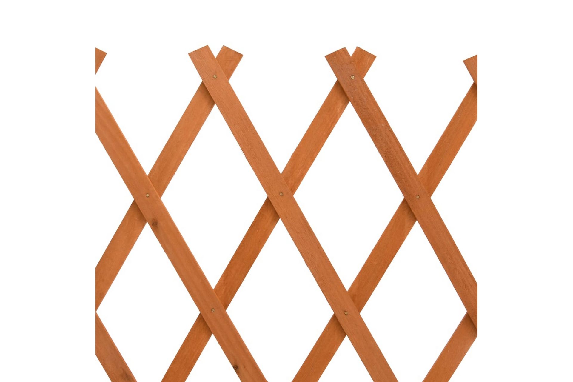 Espaliergjerde oransje 150x80 cm heltre gran - Oransj - Hus & oppussing - Innsynsbeskyttelse & innhegning - Gjerde