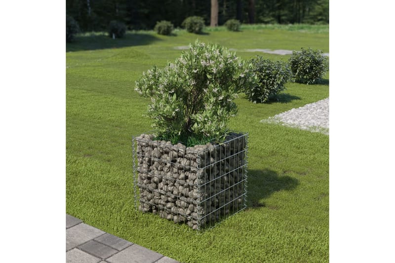 Gabion høybed galvanisert stål 50x50x50 cm - Hus & oppussing - Innsynsbeskyttelse & innhegning - Mur