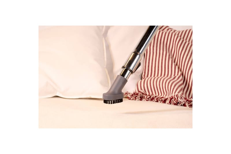 Støvsuger Solac More Brave Posesløs 800W - Husholdning - Rengjøring & klespleie - Støvsuger