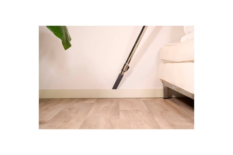 Støvsuger Solac More Brave Posesløs 800W - Husholdning - Rengjøring & klespleie - Støvsuger