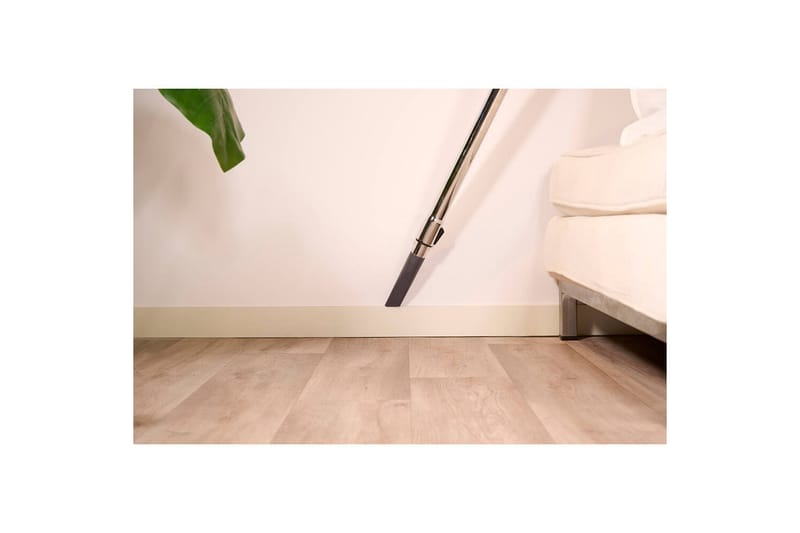 Støvsuger Solac More Brave Posesløs 800W - Husholdning - Rengjøring & klespleie - Støvsuger