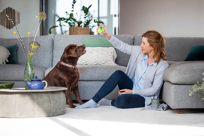 Teppematerial Bissell Revolution 2x ProHeat - Husholdning - Rengjøring & klespleie - Støvsuger