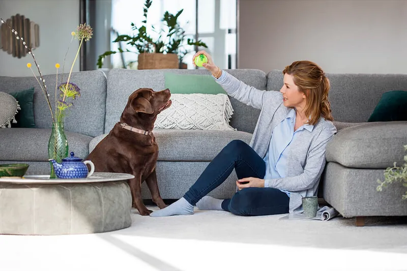 Teppematerial Bissell Revolution 2x ProHeat - Husholdning - Rengjøring & klespleie - Støvsuger