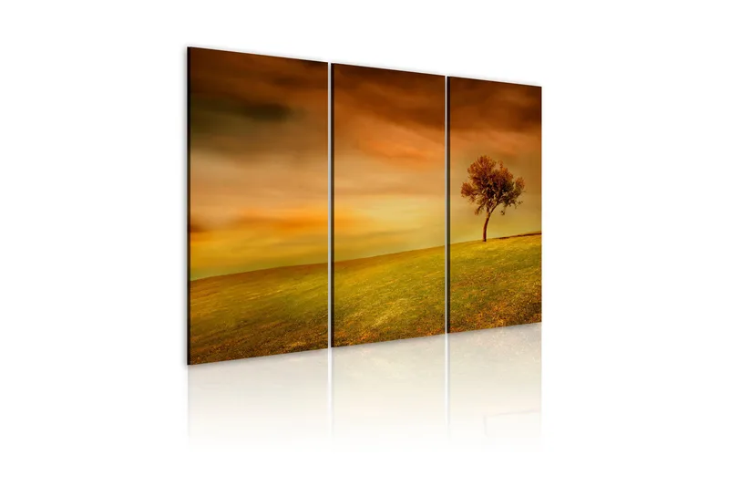 Bilde A Lonely Tree On A Meadow 120x80, Artgeist sp. z o. o.
