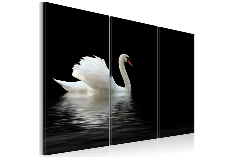Bilde A Lonely White Swan 60x40, Artgeist sp. z o. o.