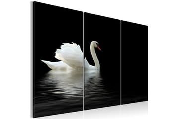 Bilde A lonely white swan 90x60