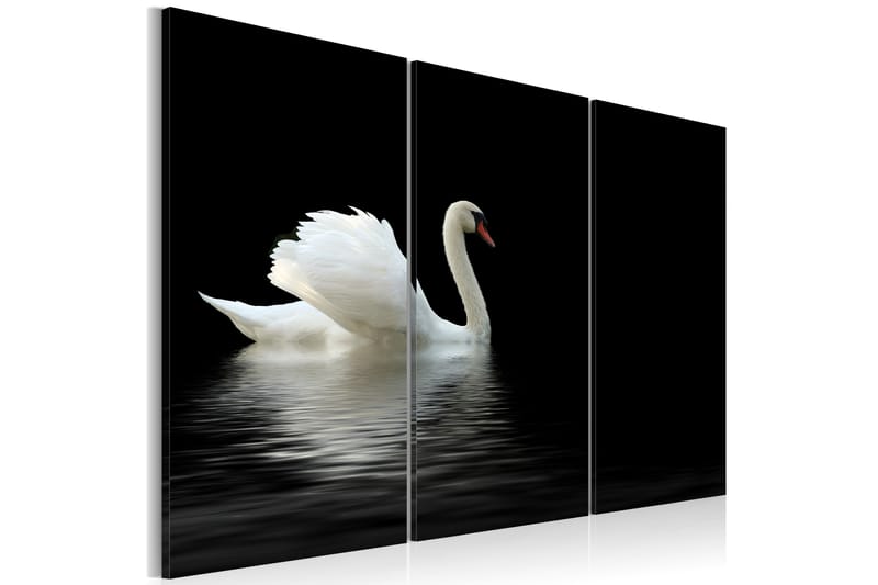 Bilde A lonely white swan 90x60 - Artgeist sp. z o. o. - Lerretsbilder
