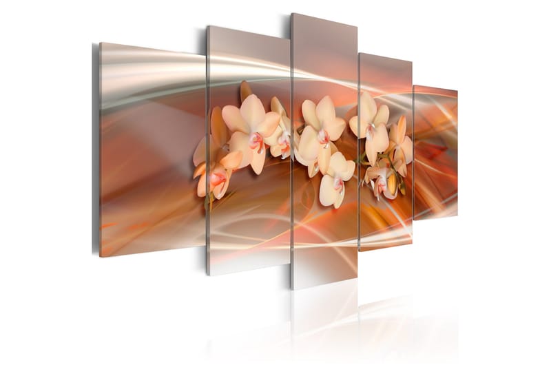 Bilde An Orchid In Grey Shades 200x100, Artgeist sp. z o. o.