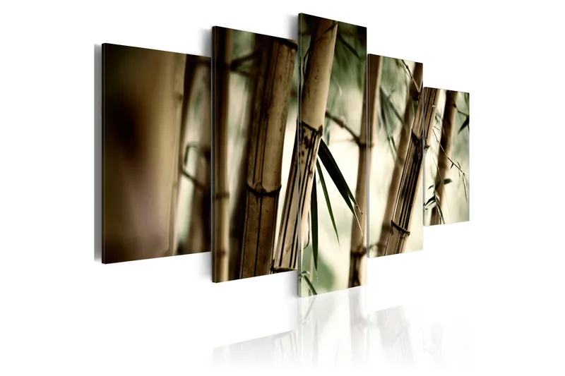 Bilde Asian Bamboo Forest 100x50, Artgeist sp. z o. o.