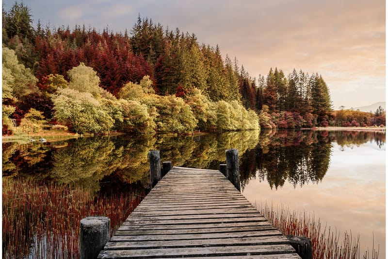 Bilde Autumn Path, 88x012 cm