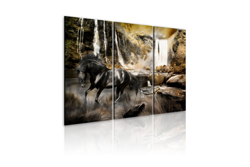 Bilde Black Horse And Rocky Waterfall 60x40, Artgeist sp. z o. o.