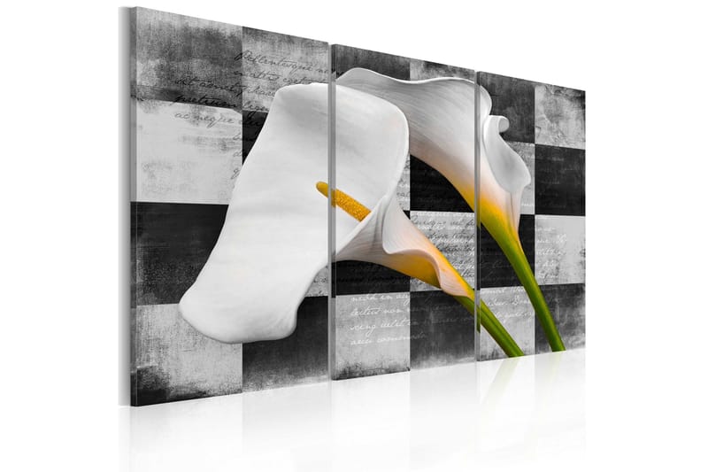 Bilde Callas Vintage 60x40, Artgeist sp. z o. o.