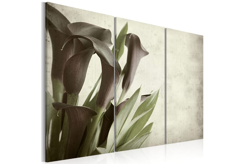 Bilde Callas Vintage 60x40, Artgeist sp. z o. o.