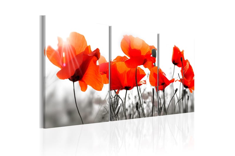 Bilde Charming Poppies 120x60, Artgeist sp. z o. o.