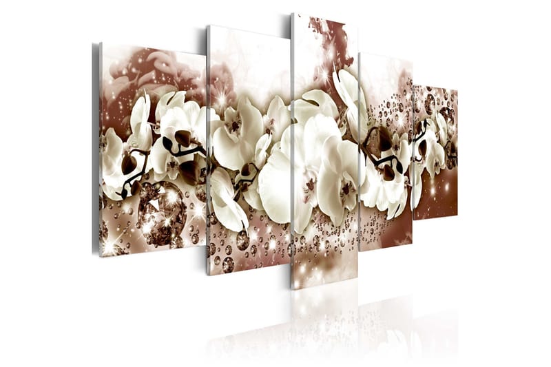 Bilde Chocolate Orchid 100x50, Artgeist sp. z o. o.