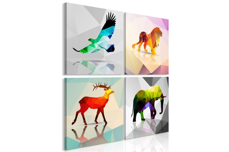 Bilde Colourful Animals 4 Parts 80x80, Artgeist sp. z o. o.