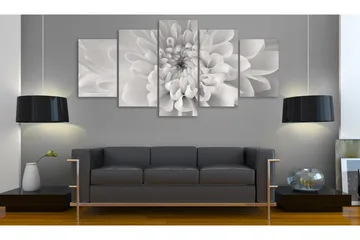 Bilde Dahlia Flower In Grey Shades 200x100 - Artgeist sp. z o. o. - Innredning - Bilder & kunst - Lerretsbilder