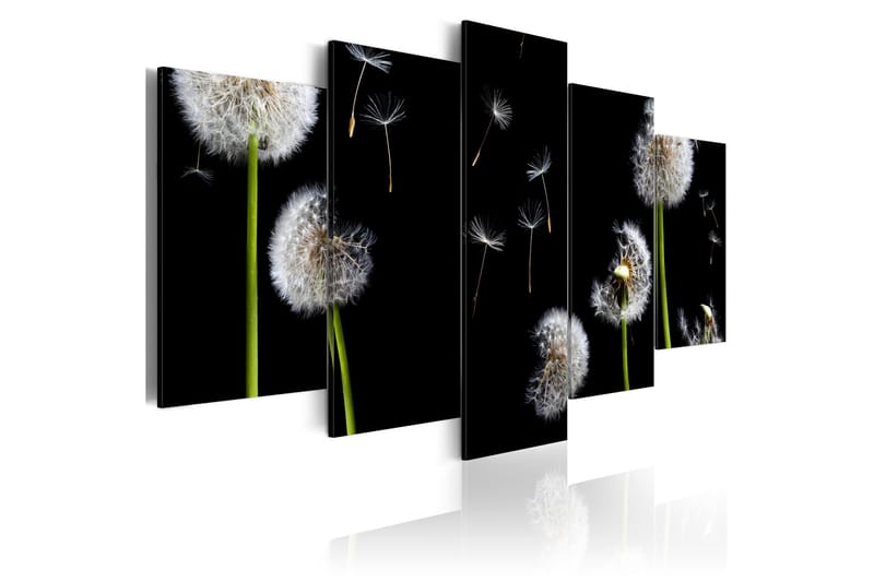 Bilde Dandelion- Towards Freedom 100x50, Artgeist sp. z o. o.