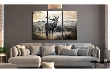 Bilde Dangerous Horns 90x60 - Artgeist sp. z o. o. - Innredning - Bilder & kunst - Lerretsbilder