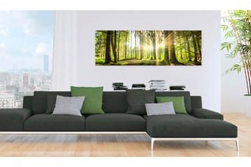 Bilde Daylight 135x45 - Artgeist sp. z o. o. - Innredning - Bilder & kunst - Lerretsbilder