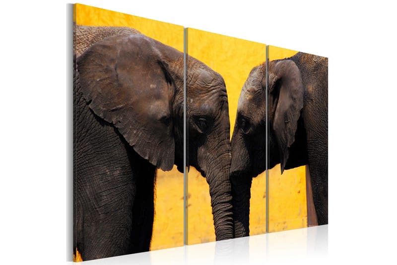 Bilde Elephant Kiss 60x40, Artgeist sp. z o. o.