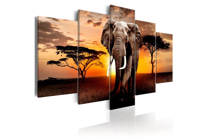 Bilde Elephant Migration 100x50, Artgeist sp. z o. o.